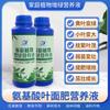 Solución nutritiva concentrada para reverdecer plantas Solución nutritiva universal para flores Planta en maceta Planta verde Raíz de frutas y verduras Clorofila fuerte