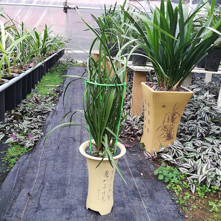 O1CN01nnuCio2I4J3PNnYAH_!!2872