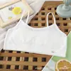 Meninas Underwear Vest Estágio de Desenvolvimento 1 Ensino Fundamental Crianças Alunos do Ensino Médio Meninas Summer Thin Bra