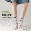25 Calcetines Nuevos de Color Caramelo para Niña Cachorro de Media Pantorrilla Calcetines Finos de Malla de Caña Alta Versátiles Ins Venta al por Mayor Zhuji Datang