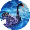 Diy668 Cisne Negro Transfronterizo Piedra del Tiempo Cristal de Gema Parche Redondo de Vidrio Accesorios Al Por Mayor