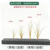 Dropshipping Transfronterizo de Hierba Cebolla Encriptada, Césped Artificial, Hierba Pequeña de Tallo Único, Paisajismo con Plantas Verdes, Césped Artificial, Hierba de Junco, Plantas Artificiales
