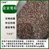 Material medicinal chinês autêntico Uvas Suosuo Estoque novo Uvas Passas Suosuo selecionadas de Xinjiang Uvas Passas Pequenas Suosuo Grãos Pequenos Fruta Inteira