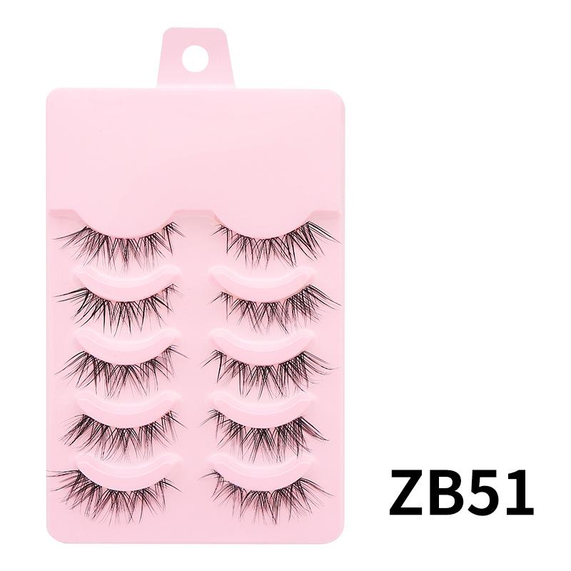 ZB51