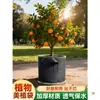 Meizhi Bolsa de Cultivo No Tejida Engrosada Duradera Exportación Exterior Hogar Maceta de Plantación Tamaño Grande Bolsa para Plántulas
