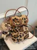 Bolso Pequeño de Lana de Cordero para Mujer 2025 Nuevo Diseño Coreano de Nicho Estampado de Leopardo Bolso para Teléfono Móvil Bolso Cruzado Versátil de Felpa