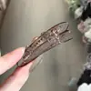 Exquisito pasador de pelo de diamante y perla brillante, pinza de pico de pato, pinza para flequillo, pasador exquisito y de alta gama estilo coreano, accesorio para el pelo de pinza recta