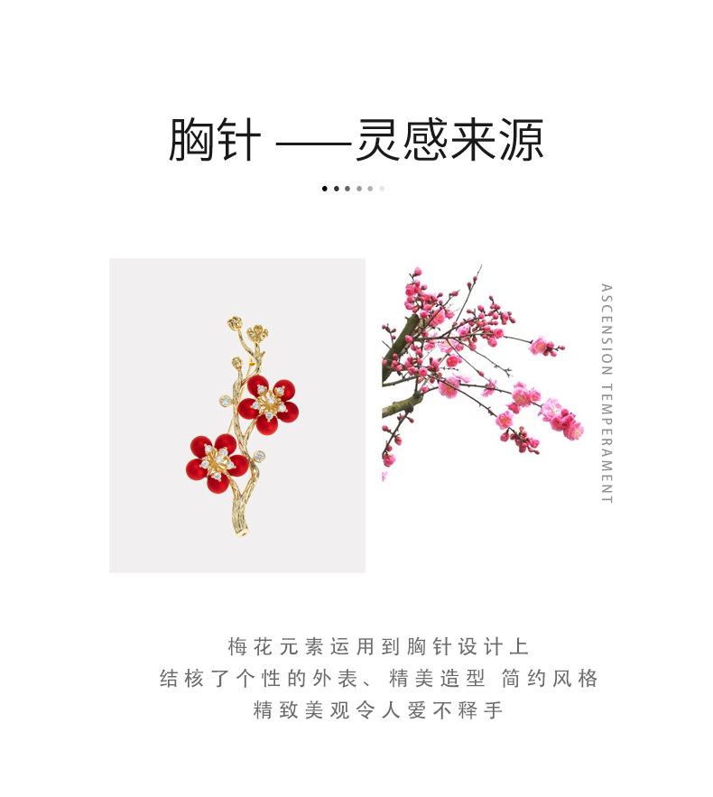 详情页_02.jpg