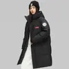 Jaqueta de Penas Média Estilo Montanha para Uso Externo Nova Casal com Capuz Quente Puffer Casaco Gola Alta Espessada Corta-Vento Top