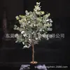 Árbol del Dinero simulación planta de eucalipto decoración de interior bonsái simulación árbol del dinero fabricante en stock generación