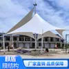 Diseño e Instalación Profesional de Cubierta Paisajística de Estructura de Membrana para Plaza de Ocio, Nave de Construcción de Ingeniería y Techo de Estructura de Acero