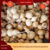 Liaocheng cabaça atacado 8-15cm cintura sub cabaça branca tamanho grande e médio tamanho pequeno cultura brincar artesanato cabaça branca