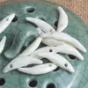 Acessórios para Bebê Pingente de Dente de Cachorro Genuíno Vendedor de Rua E-commerce Dente de Cachorro Real Joias DIY Colar Pequenos Acessórios
