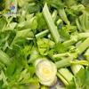 Ventas Directas de Fábrica Cortador de Verduras Eléctrico Comercial Grande de un Solo Cabezal Rallador, Rebanador y Segmentador Cortador de Verduras de Acero Inoxidable