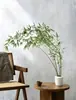 Plantas de Bambú de Mesa para Interiores para Salones de Té, Vegetación Estilo Zen, Perennes, Tolerantes a la Sombra, Fáciles de Mantener, Bambú Ornamental de Jardín, Flores de Bambú Bonsái