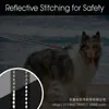 Correa Reflectante para Perro Correa para Perro Correa para Perro Correa para Mascota Correa de Cuerda P Correa para Perro Correa para Perro Correa para Perro