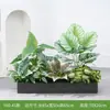 [Serie Y80] Decoración de Partición de Planta Verde Simulada Macetero Maceta Valla Paisajística de Plástico Biónico Diseño