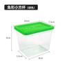 Venta al por mayor, pecera de plástico con forma de pez Dou Fish de color para escritorio, caja de transporte y alimentación para reptiles y mascotas, caja transparente para tortugas.