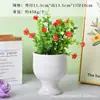 Macetas de Porcelana Blanca Transfronterizas Amazon Macetas Cerámicas para Suculentas Simples Creativas Blanco y Negro para Interiores Macetas para Orquídeas Plantas Verdes