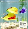 Acuario Tanque de Peces Decoración para Mascotas Paisajismo Hojas Artificiales Cama para Peces Betta Hojas de Descanso y Desove Hoja de Plástico Doble Hojas Ornamentales
