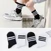 Calcetines de primavera y verano Zhuji calcetines deportivos de tres rayas calcetines de media caña para mujer pantalones de tiburón de moda con calcetines de moda calcetines para mujer