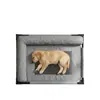 Cama de Campaña para Gatos, Nido a Prueba de Humedad para Mascotas Elevado del Suelo, Adecuado para Todas las Estaciones, Cama para Mascotas Desmontable y Lavable, Nido de Hielo para Gatos Dropshipping