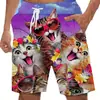 Pantalones de playa holgados europeos y americanos 2024, pantalones de surf de verano con estampado 3D de humo, pantalones cortos de moda para hombre