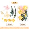 Yongsheng flor seca flor material pacote DIY moldura de foto adesivos Grupo ventilador flutuante atividade de construção de grupo aula floral saco floral feito à mão