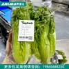 Máquina Empaquetadora Automática de Verduras Máquina Automática de Pesaje y Etiquetado Fabricante de Gama Completa de Líneas de Producción de Empaque de Verduras