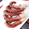 Frutos do Mar Frescos Congelados Tentáculos de Polvo Frescos Tentáculos de Polvo Pequeno Prato Lateral para Hot Pot Meio Jin LD Dropshipping Amazon