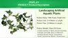 Plantas Reptiles Plantas de Terrario Colgantes Hojas Artificiales Decoraciones de Hábitat con Ventosa Plantas Falsas Verdes y Amarillas para Anfibios para Dragón Barbudo Lagarto Geckos Camaleón