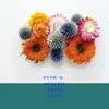 Materiais de Flores Secas Galhos Bolotas Pinhas Algodão Vagens de Lótus Jardim de Infância Artesanato Velas Aromáticas Fatias Decoração Adereços para Fotos