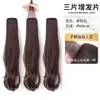 Peruca Feminina para Cabelo Longo [Borda Tecida à Mão] Volume Capilar Fofo Extensão de Cabelo Liso Sem Costura de Três Peças