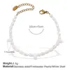 Nuevo Set Versátil de Collar y Pulsera Chapado en Oro de 18 Quilates de Acero Inoxidable Pulsera y Collar de Perlas de Agua Dulce con Cuentas Lujo Accesible
