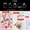 Marcador de página de flores secas espécimes coleção de primavera em frasco de filme plástico materiais diy feitos à mão alunos do ensino fundamental flores transparentes