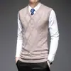 Chaleco de Lana para Hombre Primavera y Otoño Casual Cuello en V Dulce Suéter Color Sólido Camisa Base Moda de Negocios y Elegante