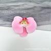 Pinza para el pelo de una sola cabeza con simulación de Phalaenopsis 3D, estilo europeo, con forma de mariposa y flor, accesorios para el pelo, tocado DIY, pinza de pico de pato, pinza lateral