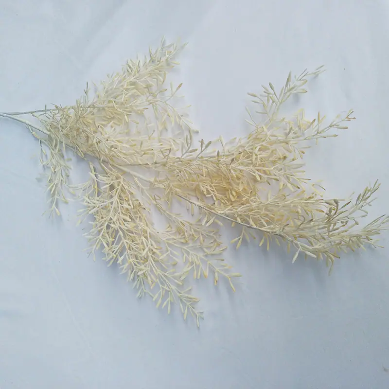 香槟色