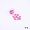 Arte de Uñas Estilo Japonés Flor de Crisantemo Pequeña en Relieve Paquete de Flores en Relieve Materiales de Flores Secas Materiales de Flores Naturales DIY