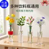 Maceta de red hidropónica soporte de fijación de planta hidropónica botella de bebida dispositivo de fijación de raíz hidropónica DIY soporte de fijación para propagación por corte