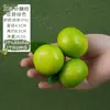Simulação Modelo Laranja de Açúcar Laranja de Açúcar Laranja Fruta Falsa Enfeites Decoração de Prato de Frutas Crianças Ensino Cognitivo Infantil Consciente