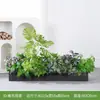 [Serie E100] Paisajismo de Plantas Verdes Macetero Combinado Maceta Decoración Planta Artificial Decoración de Paisaje Interior y Exterior