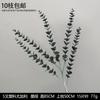 Decoración de Flores Artificiales Verdes Material de Flores de Hoja de Manzana Flor Exterior Planta Verde Hermoso Arreglo Chen Simulación de Hoja de Tortuga Arte Floral para Boda
