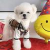 Ropa para Gatos y Perros para Otoño e Invierno, Engrosada y Cálida, Adecuada para Bulldogs Franceses, Schnauzers, Poodles, Perros Teddy, Shiba Inus y Gatos, Chaqueta Estilo Béisbol