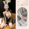 Lingerie Sexy, Desejo Puro, Uniformes Eróticos Femininos, Doméstica Qqny Sedutora, Roupas Sexys e Divertidas, Pijamas Sedutores
