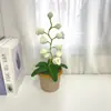 [Producto Terminado] Linterna de Campanillas de Lana Tejida a Mano Transfronteriza Flor Artificial Adornos de Escritorio Tejidos Regalos Creativos