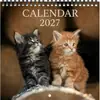Gatinho Macio e Fofo de Pelo Longo Calendário de Mesa Anual Completo Calendário de Fotos de Gato Curativo Transfronteiriço Europeu e Americano Em Estoque