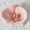 Cabezas de flores artificiales de orquídea mariposa, materiales para flores de pared, materiales para pasadores y accesorios para el cabello hechos a mano para DIY, piezas de flores y accesorios de pétalos para decoración de bodas