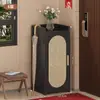 Gabinete de Zapatos Simple a Prueba de Polvo, Sin Instalación, Zapatero Doméstico Multicapa Ahorrador de Espacio, Zapatero de Almacenamiento para Entrada, Ocupa Menos Espacio en Dormitorio