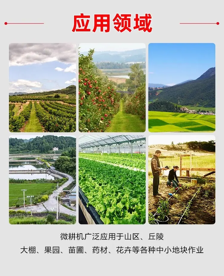 详情图02